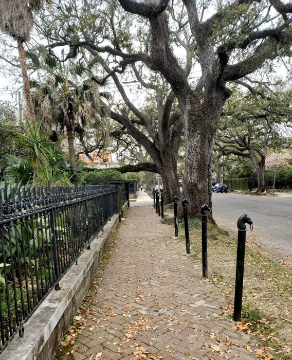 New Orleans City Tour – Including Garden District Walking Tour!! | HEY ...